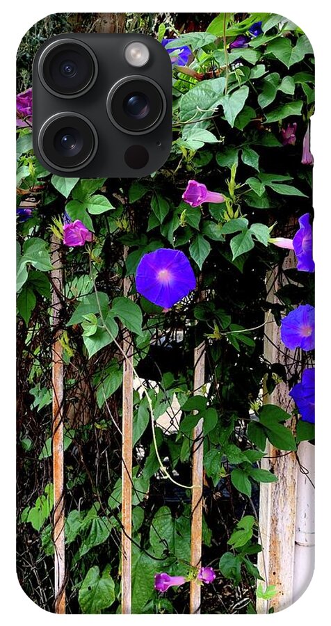 LA Neighbor - Phone Case