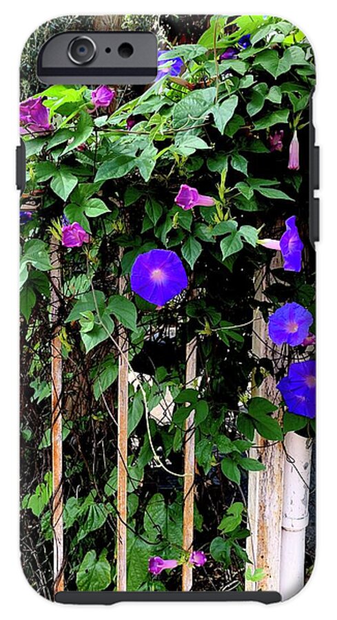 LA Neighbor - Phone Case