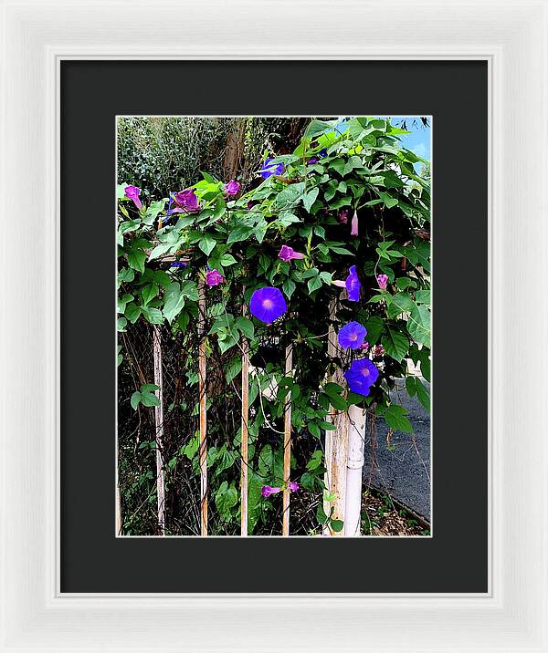 LA Neighbor - Framed Print