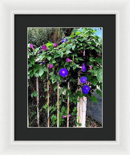 LA Neighbor - Framed Print