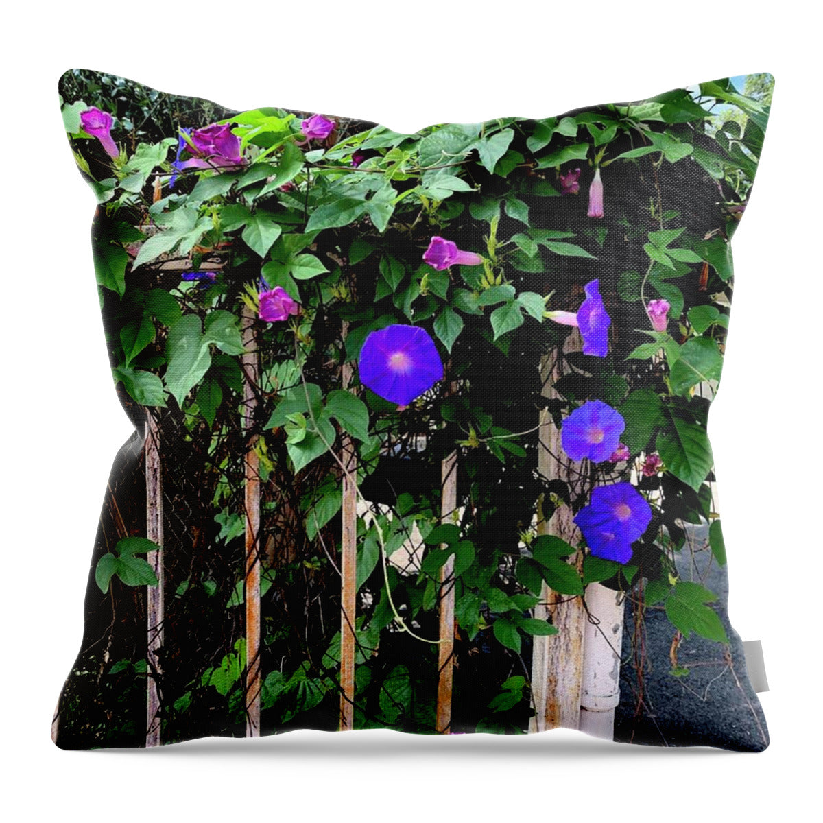 LA Neighbor - Throw Pillow