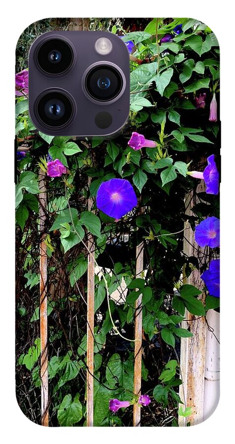 LA Neighbor - Phone Case