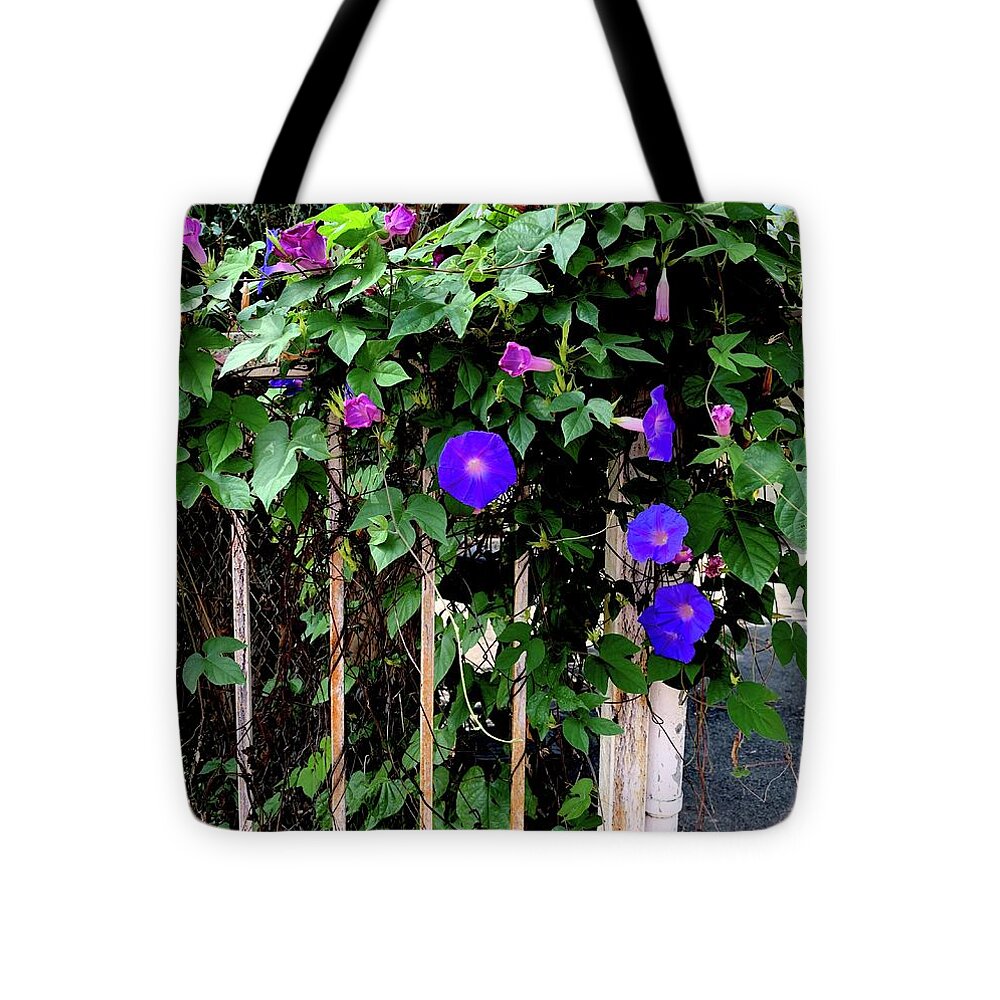 LA Neighbor - Tote Bag