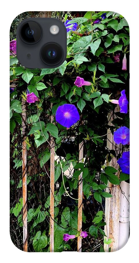 LA Neighbor - Phone Case