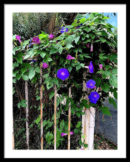 LA Neighbor - Framed Print