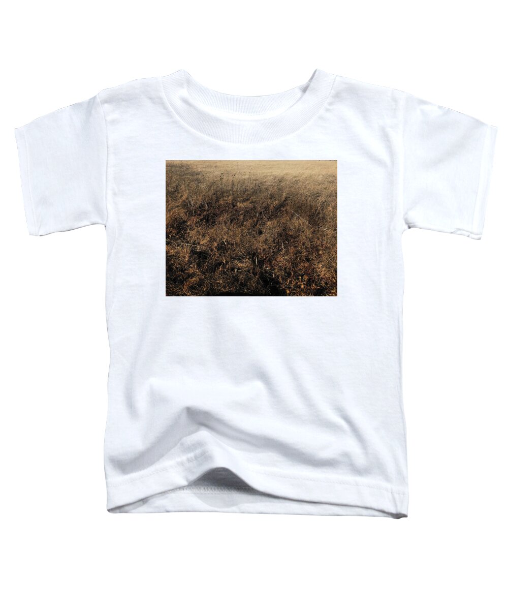 MO Grass - Toddler T-Shirt