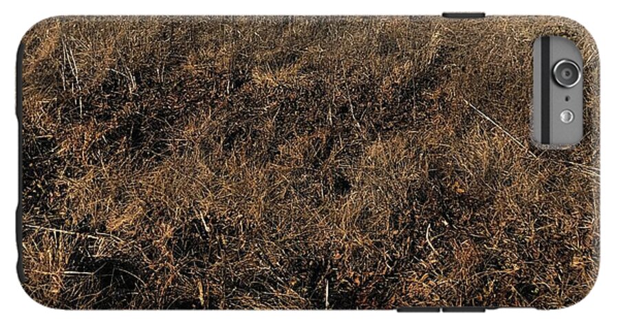 MO Grass - Phone Case