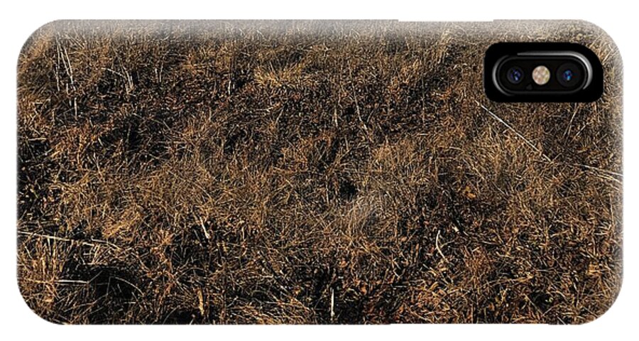 MO Grass - Phone Case