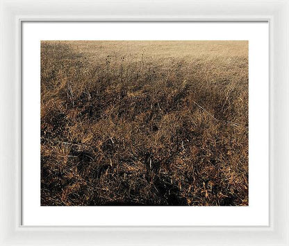 MO Grass - Framed Print