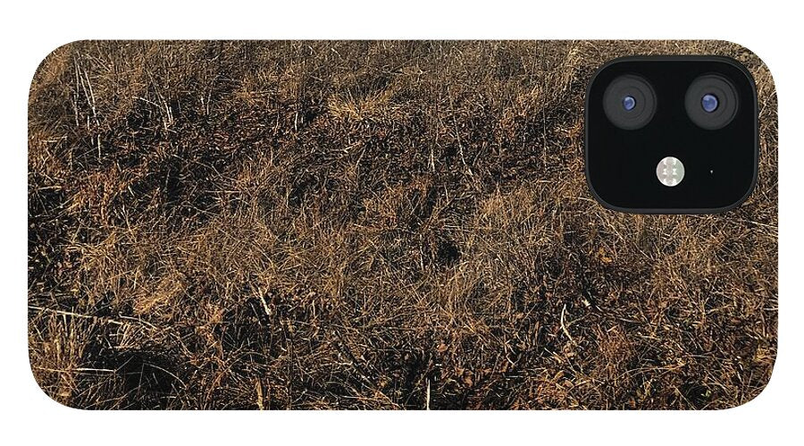 MO Grass - Phone Case