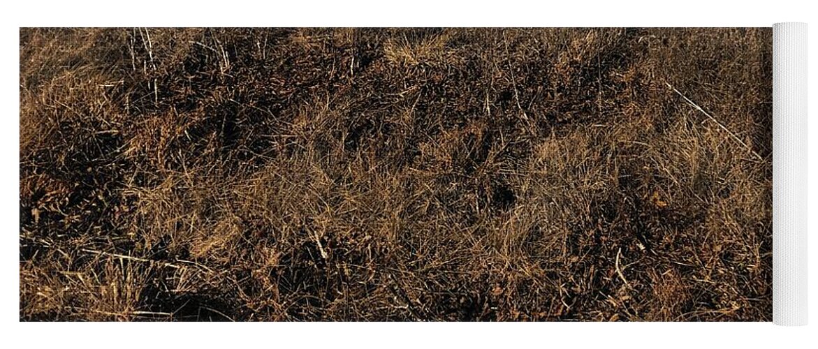 MO Grass - Yoga Mat
