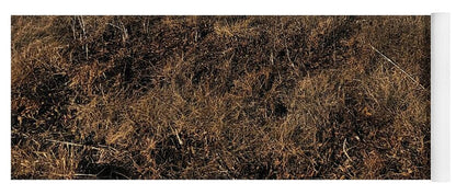 MO Grass - Yoga Mat