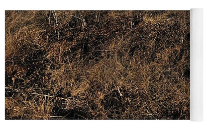 MO Grass - Yoga Mat