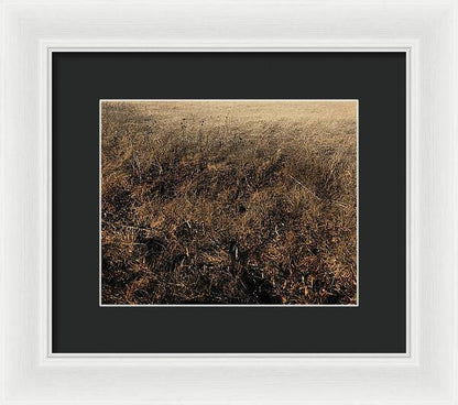 MO Grass - Framed Print