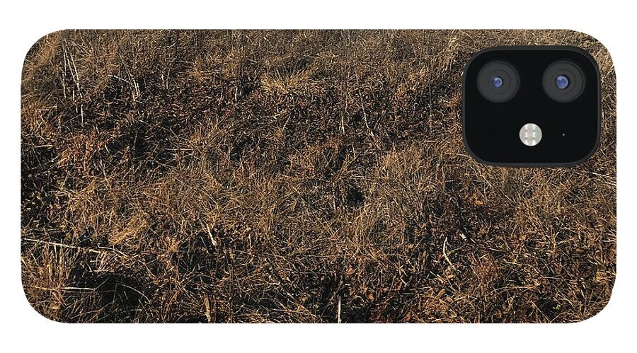 MO Grass - Phone Case