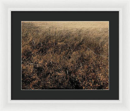MO Grass - Framed Print