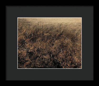 MO Grass - Framed Print