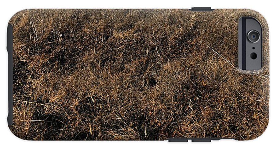 MO Grass - Phone Case