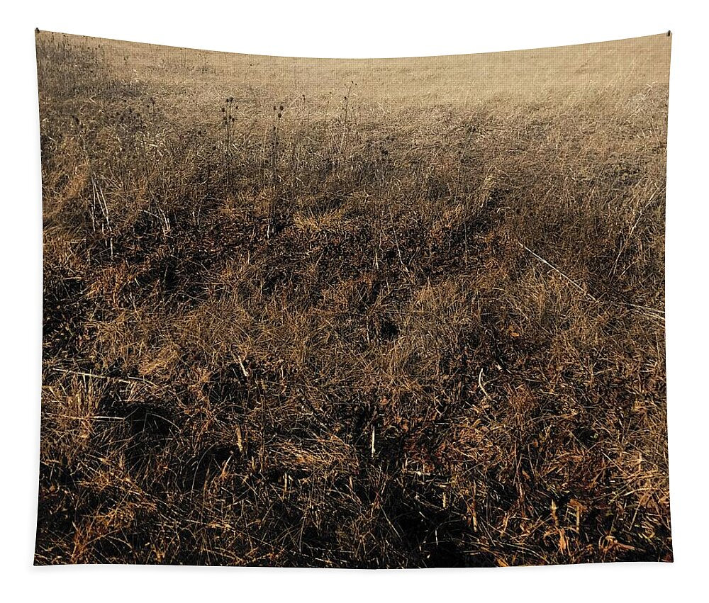 MO Grass - Tapestry