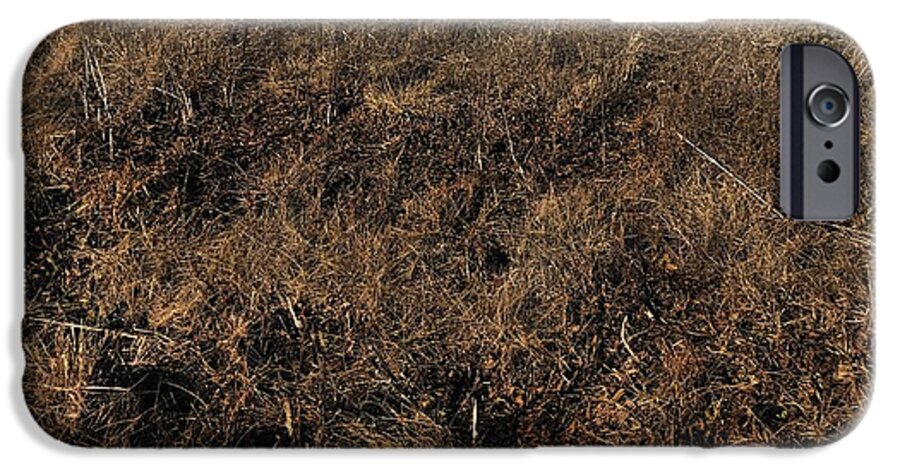 MO Grass - Phone Case