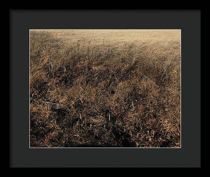 MO Grass - Framed Print