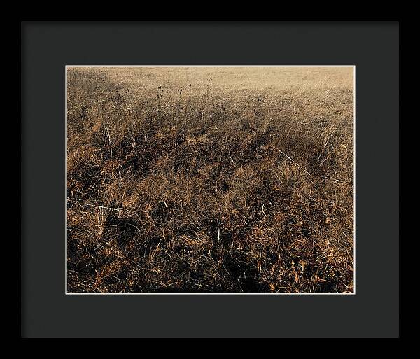 MO Grass - Framed Print