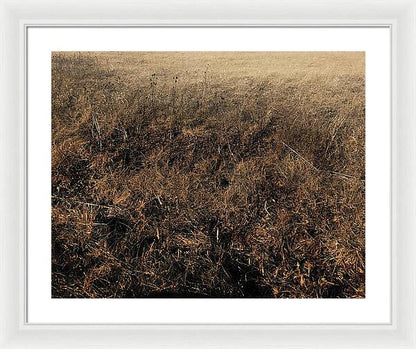 MO Grass - Framed Print