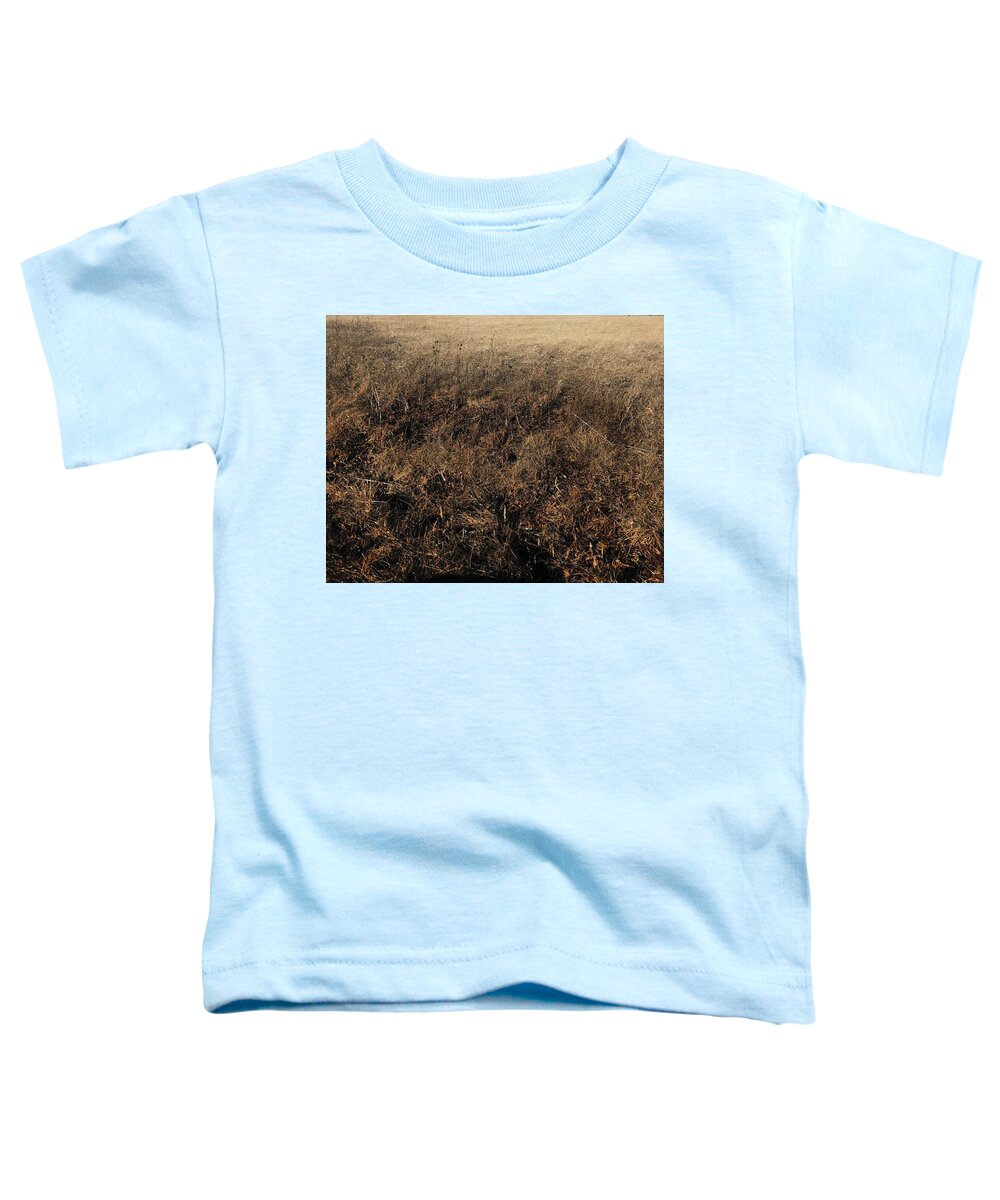 MO Grass - Toddler T-Shirt