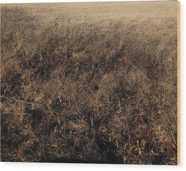 MO Grass - Wood Print