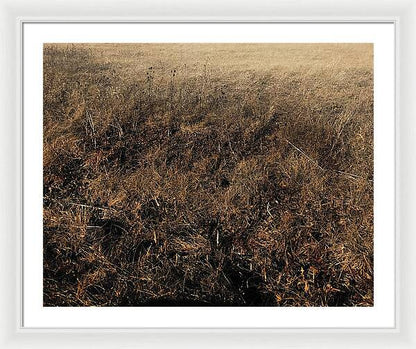 MO Grass - Framed Print