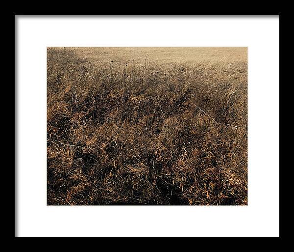 MO Grass - Framed Print