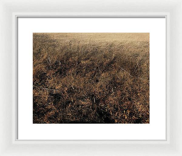 MO Grass - Framed Print