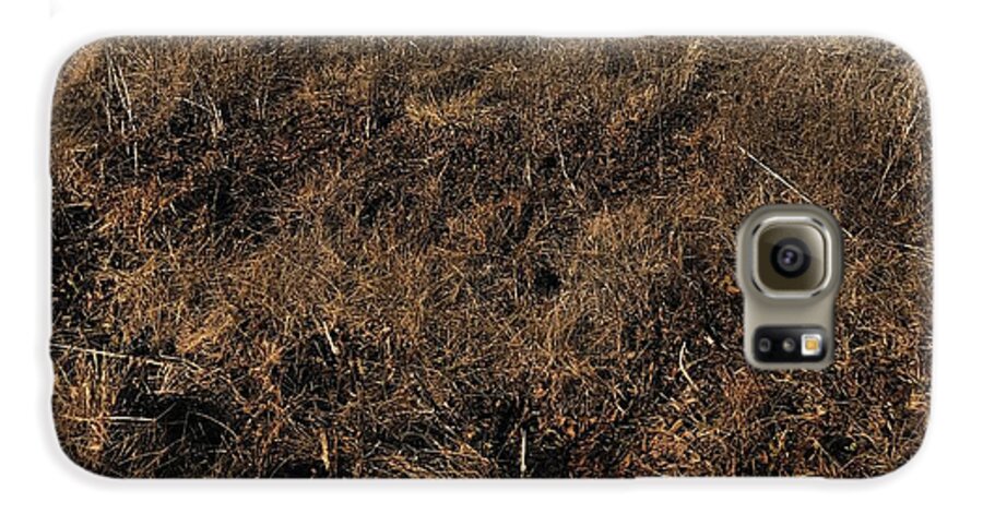 MO Grass - Phone Case