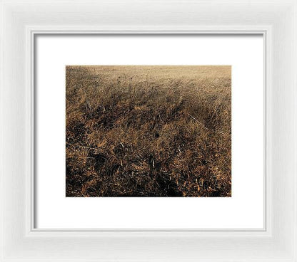 MO Grass - Framed Print