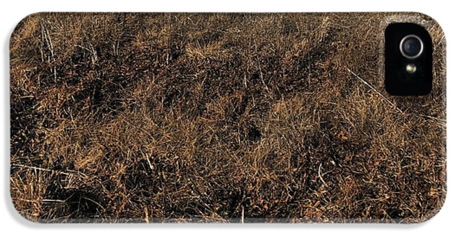 MO Grass - Phone Case