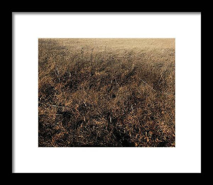 MO Grass - Framed Print