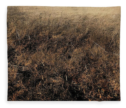 MO Grass - Blanket