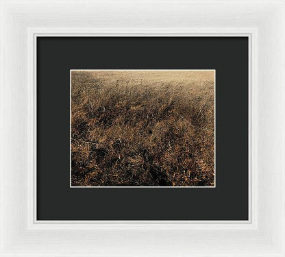 MO Grass - Framed Print