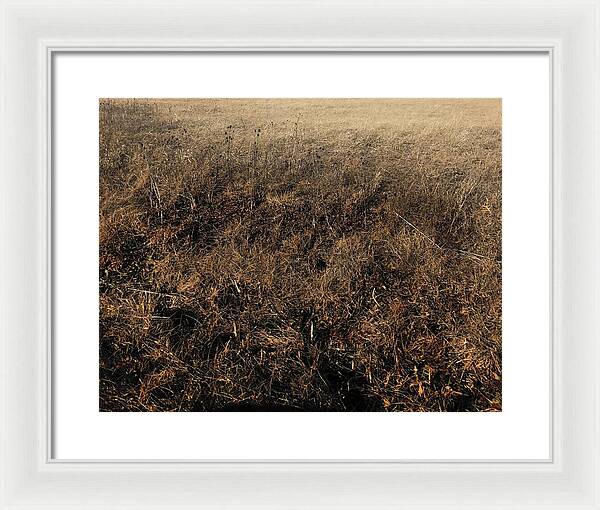 MO Grass - Framed Print