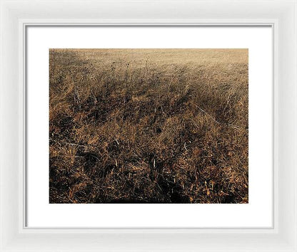 MO Grass - Framed Print