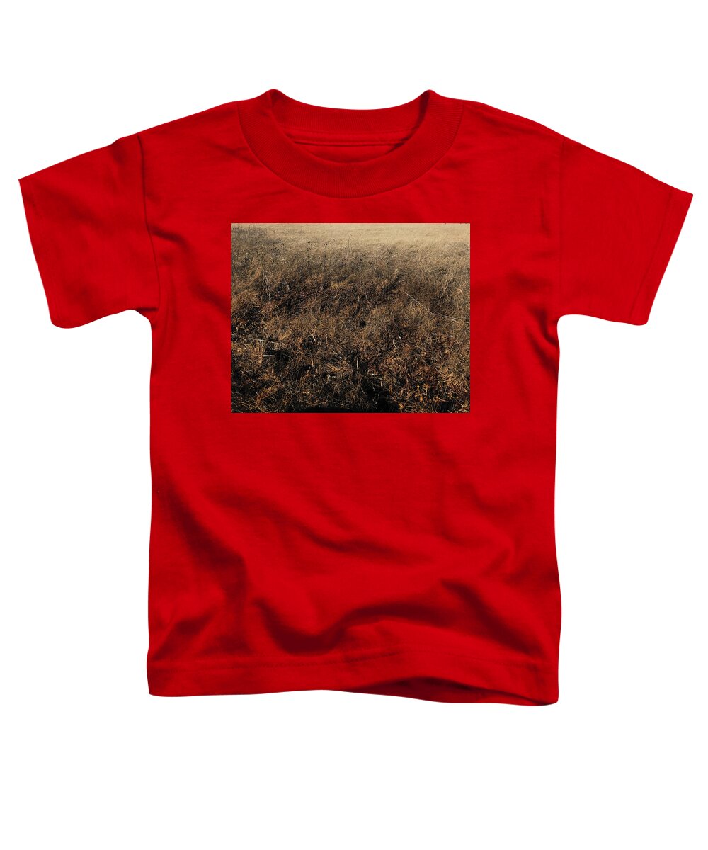 MO Grass - Toddler T-Shirt