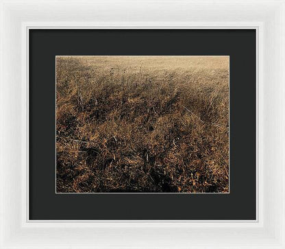 MO Grass - Framed Print