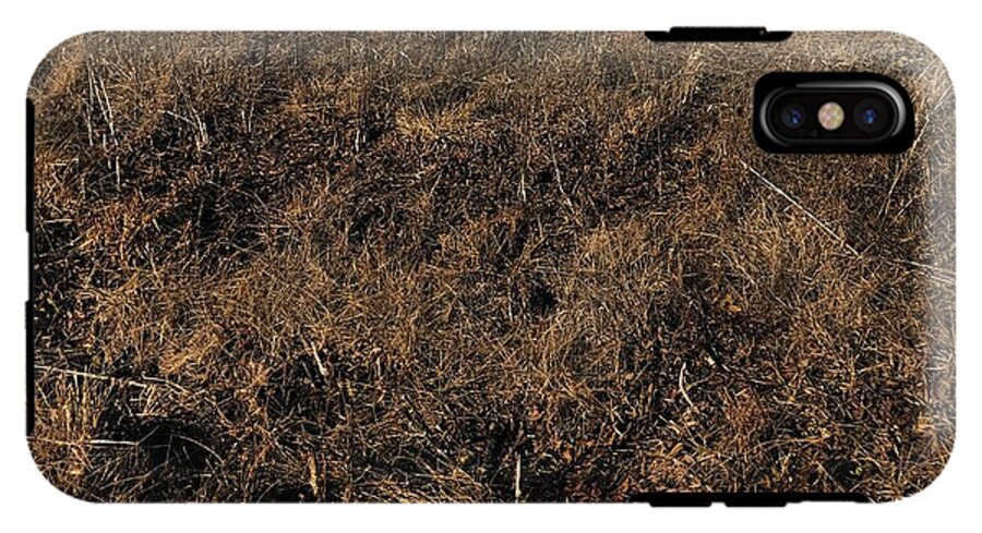 MO Grass - Phone Case
