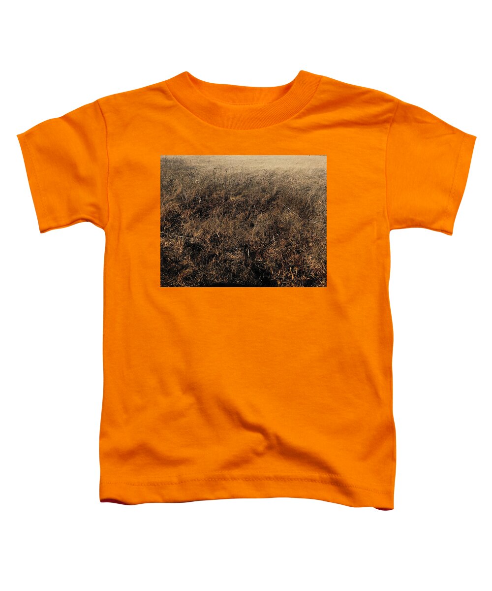 MO Grass - Toddler T-Shirt