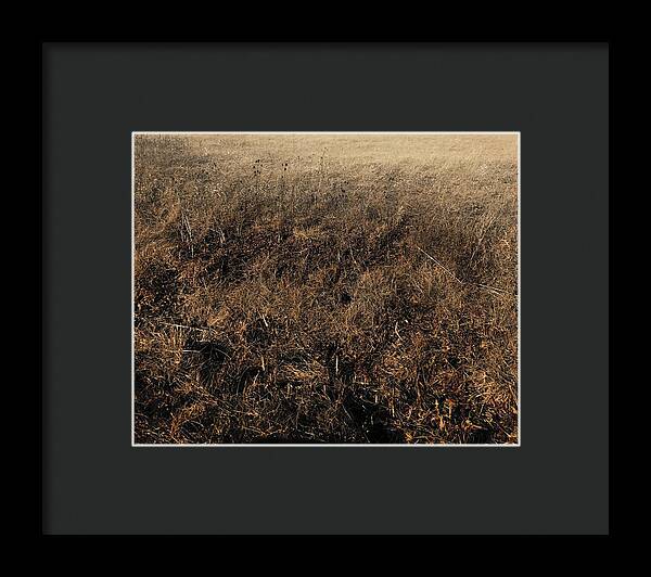 MO Grass - Framed Print