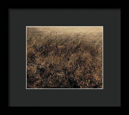 MO Grass - Framed Print