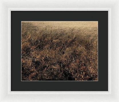 MO Grass - Framed Print