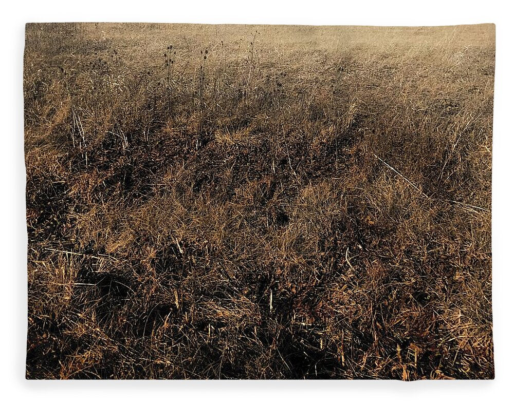 MO Grass - Blanket