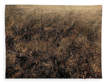 MO Grass - Blanket