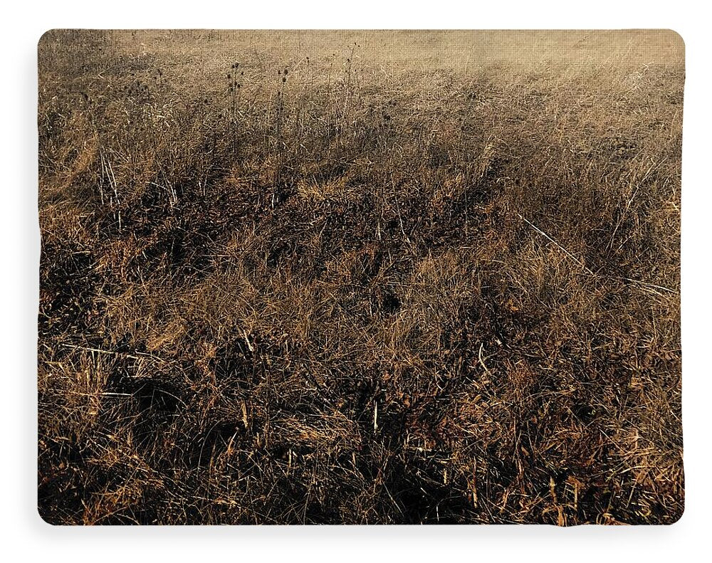 MO Grass - Blanket
